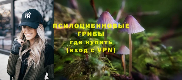 спиды Арсеньев