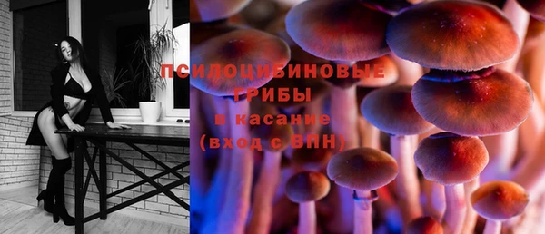 спиды Арсеньев