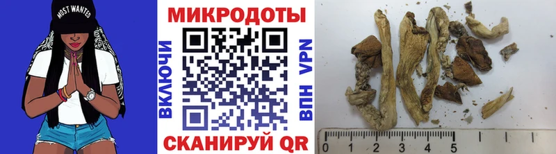 Галлюциногенные грибы MAGIC MUSHROOMS  Сосновка 