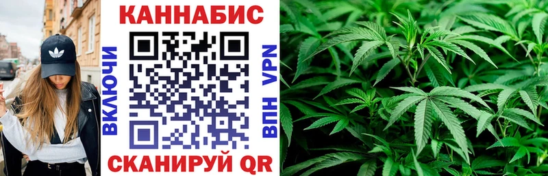 Марихуана Amnesia  Сосновка 